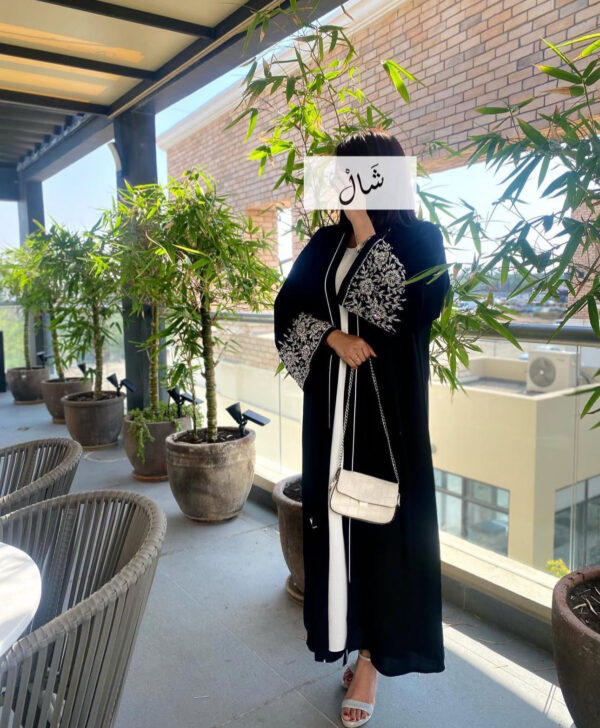 ⁦A60⁩ - الصورة ⁦2⁩