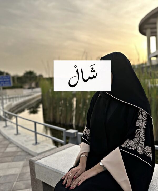 ⁦A95⁩ - الصورة ⁦3⁩