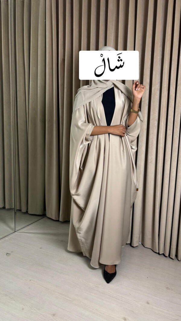 ⁦A289⁩ - الصورة ⁦3⁩