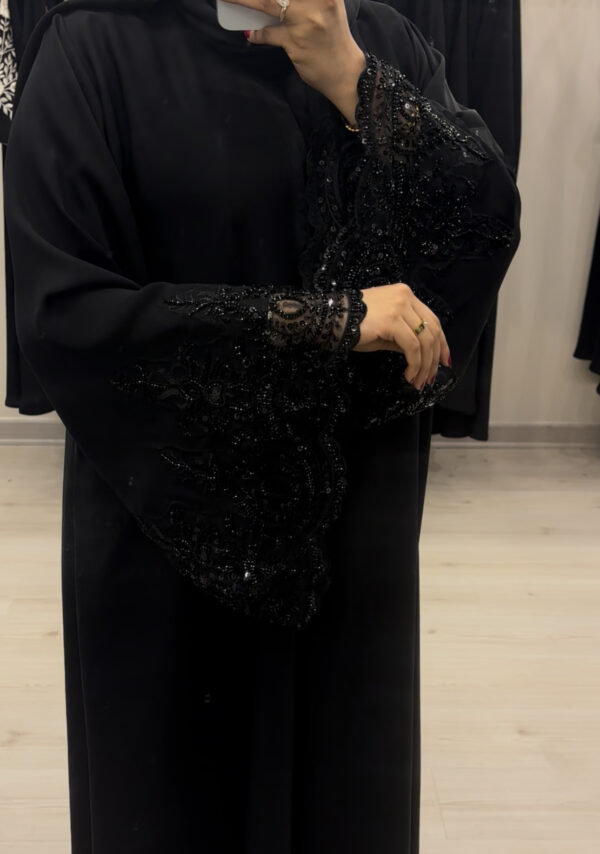 ⁦A255⁩ - الصورة ⁦2⁩